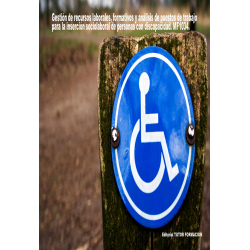 copy of Gestión de recursos laborales, formativos y análisis de puestos de trabajo para la inserción sociolaboral de discapac